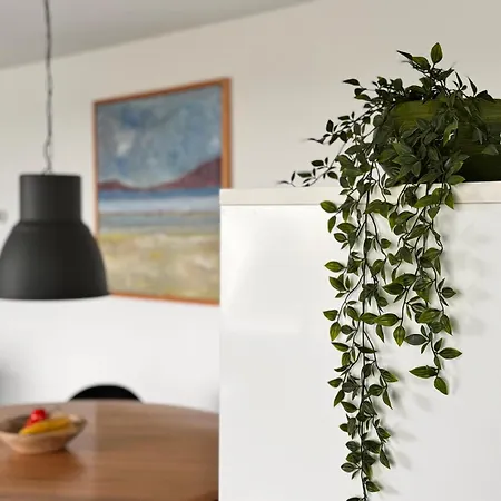 Callantsoger Staete A208 *