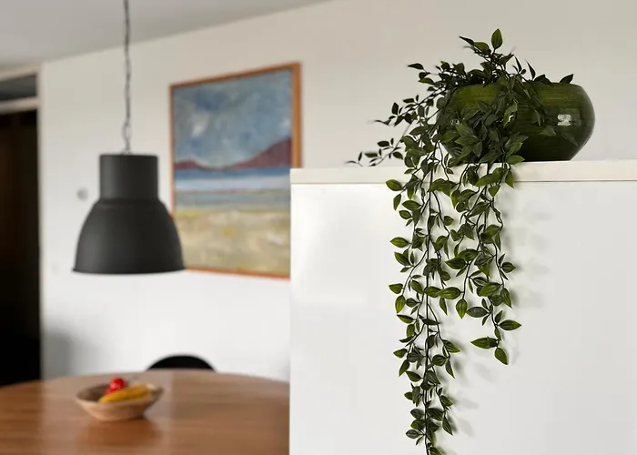 Callantsoger Staete A208 *